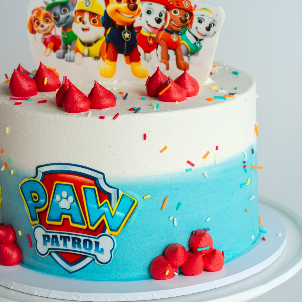 Paw Patrol Cake