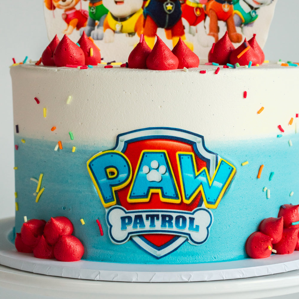 Paw Patrol Cake