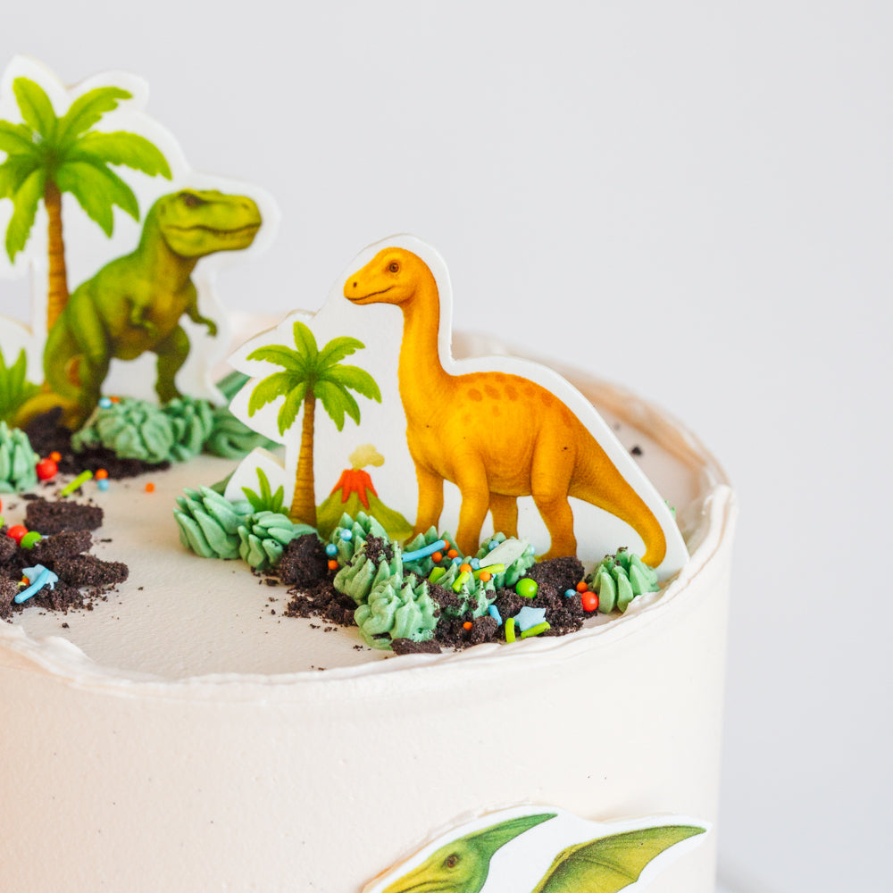 Dinosaur Cake