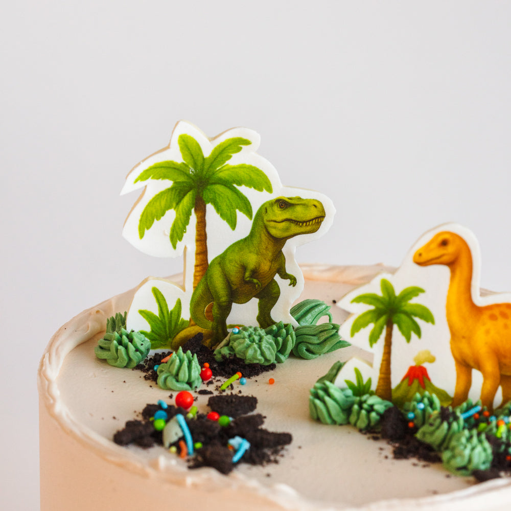 Dinosaur Cake