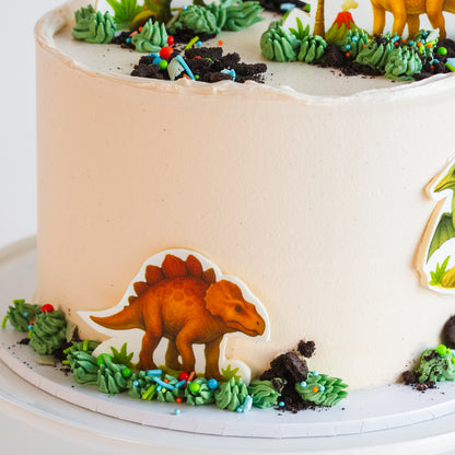 Dinosaur Cake