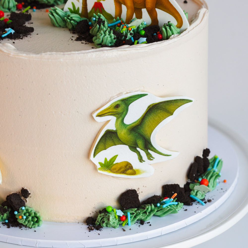 Dinosaur Cake