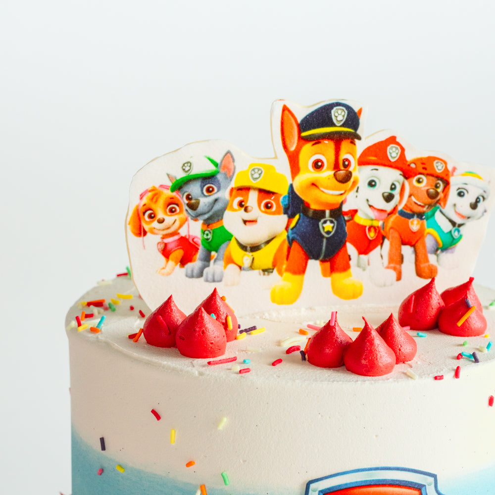 Paw Patrol Cake