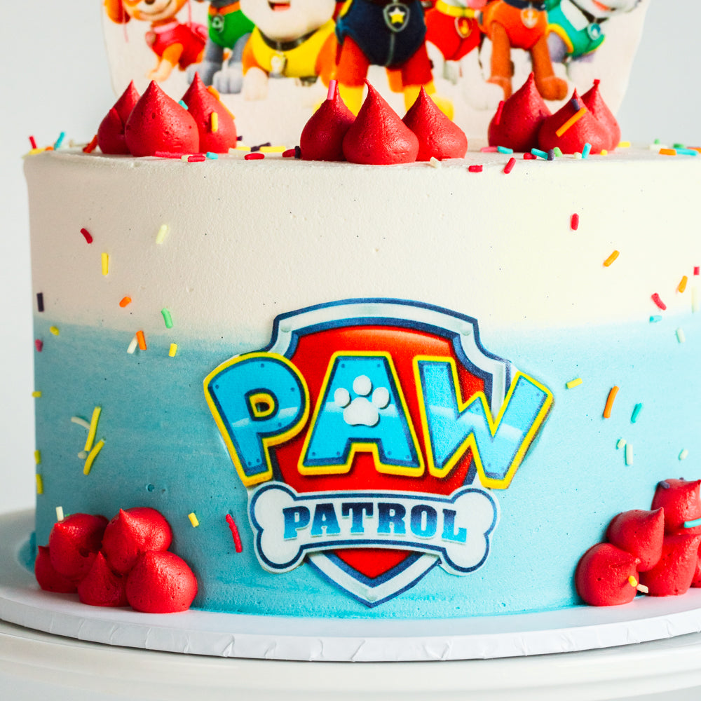 Paw Patrol Cake