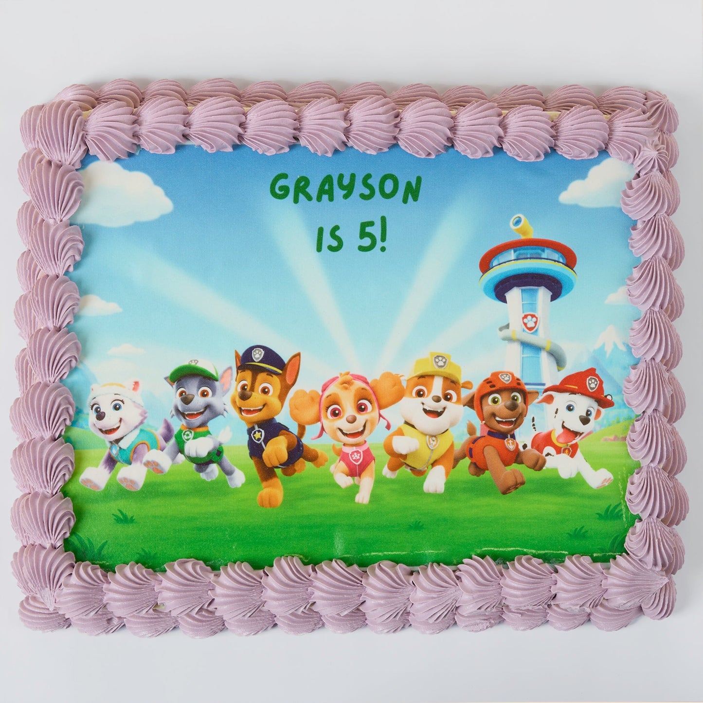 Kids Birthday Slab Cake - Paw Patrol