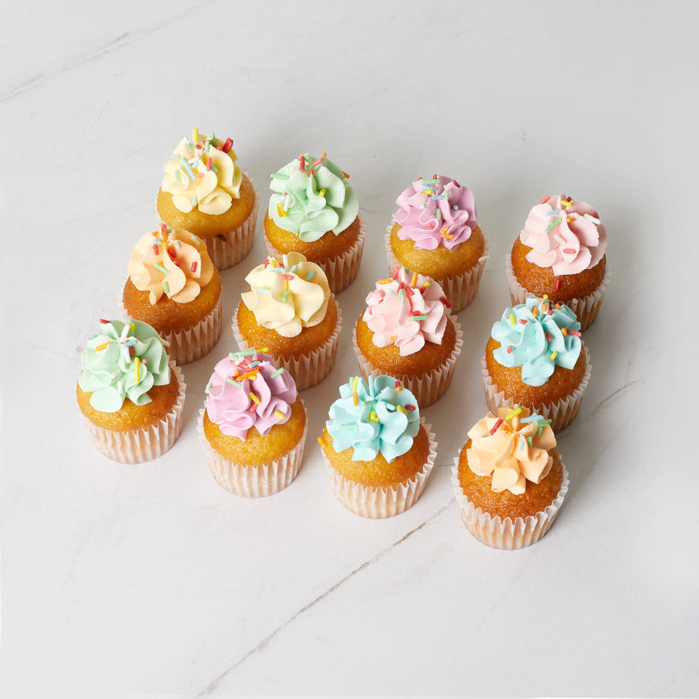 Mini Rainbow Cupcakes | 12 Pack | Bluebells Cakery Auckland 