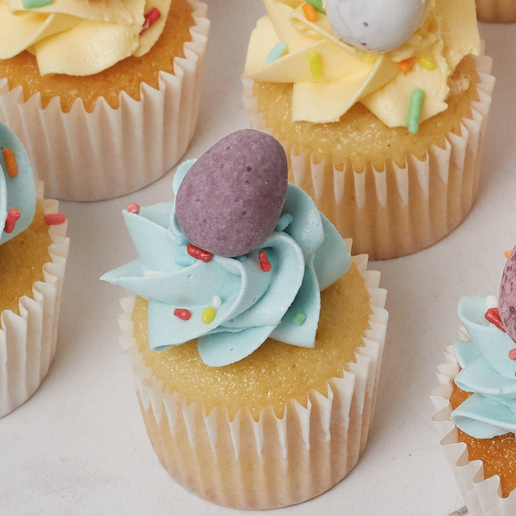 Easter Pastel Nest Vanilla Mini Cupcake - 12 Pack